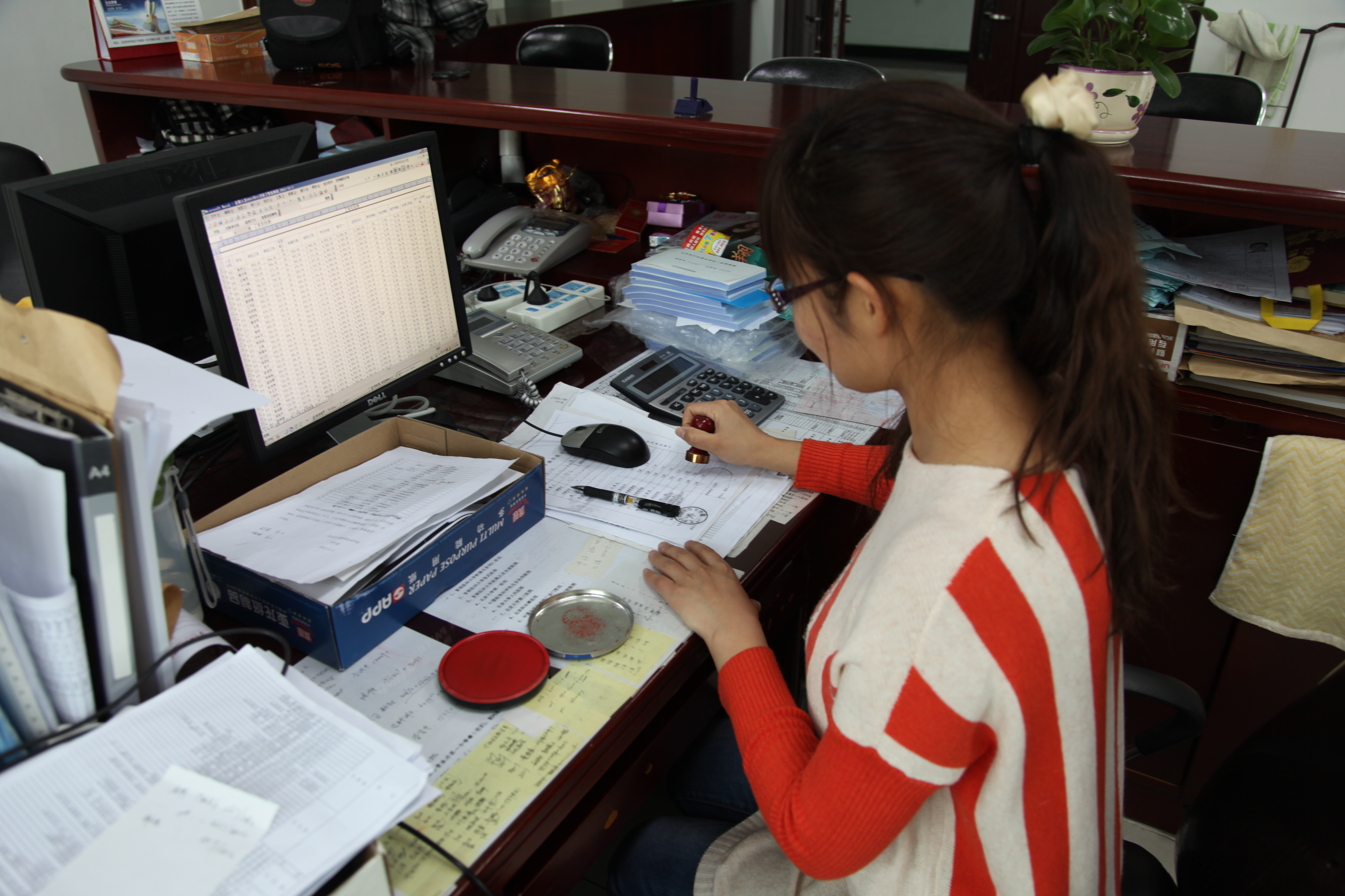 1会计毕业生怀柔行政办公大厅实习工作场景